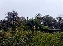 Pequeña huera que puede ser usado